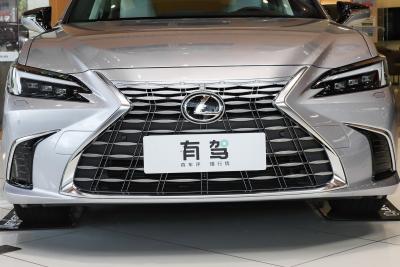 2025款 300h 臻享版-外观-图片-有驾