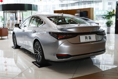 2025款 300h 臻享版-外观-图片-有驾