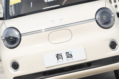 2026款 第五代 301km 进阶款-外观-图片-有驾