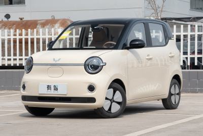 2026款 第五代 301km 进阶款-外观-图片-有驾