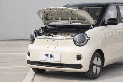 2026款 第五代 301km 进阶款-外观-图片-有驾