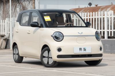 2026款 第五代 301km 进阶款-外观-图片-有驾