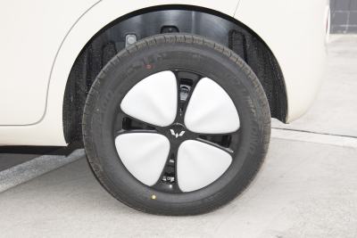 2026款 第五代 301km 进阶款-外观-图片-有驾