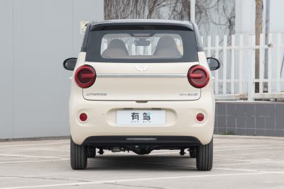 2026款 第五代 301km 进阶款-外观-图片-有驾