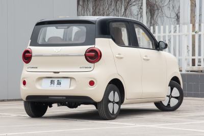 2026款 第五代 301km 进阶款-外观-图片-有驾