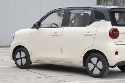 2026款 第五代 301km 进阶款-外观-图片-有驾