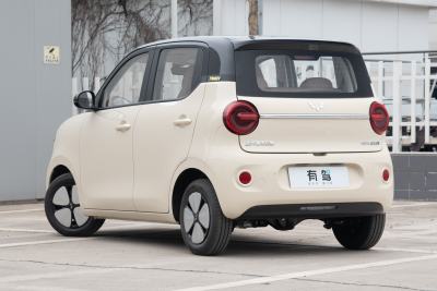 2026款 第五代 301km 进阶款-外观-图片-有驾