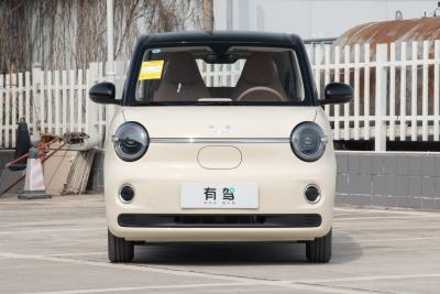 2026款 第五代 301km 进阶款-外观-图片-有驾