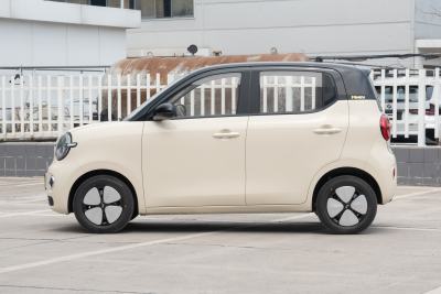 2026款 第五代 301km 进阶款-外观-图片-有驾