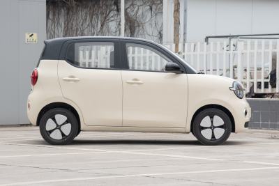 2026款 第五代 301km 进阶款-外观-图片-有驾