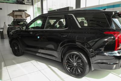 2023款 3.5L 自动四驱 鉴赏家黑骑士版-外观-图片-有驾