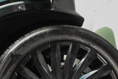 2023款 3.5L 自动四驱 鉴赏家黑骑士版-外观-图片-有驾
