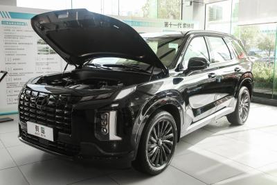 2023款 3.5L 自动四驱 鉴赏家黑骑士版-外观-图片-有驾