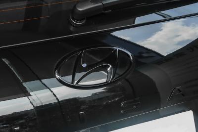 2023款 3.5L 自动四驱 鉴赏家黑骑士版-外观-图片-有驾