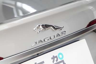 2025款 2.0T P250 两驱尊享豪华版-外观-图片-有驾 2025款 2.0T P250 两驱尊享豪华版-外观-图片-有驾