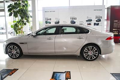 2025款 2.0T P250 两驱尊享豪华版-外观-图片-有驾 2025款 2.0T P250 两驱尊享豪华版-外观-图片-有驾