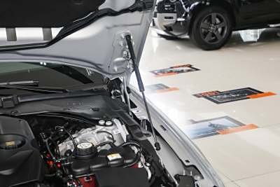 2025款 2.0T P250 两驱尊享豪华版-外观-图片-有驾 2025款 2.0T P250 两驱尊享豪华版-外观-图片-有驾