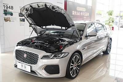 2025款 2.0T P250 两驱尊享豪华版-外观-图片-有驾 2025款 2.0T P250 两驱尊享豪华版-外观-图片-有驾