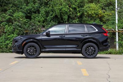 2026款 全球30年荣耀款 2.0L e:HEV 四驱智逸版-外观-图片-有驾