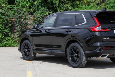 2026款 全球30年荣耀款 2.0L e:HEV 四驱智逸版-外观-图片-有驾