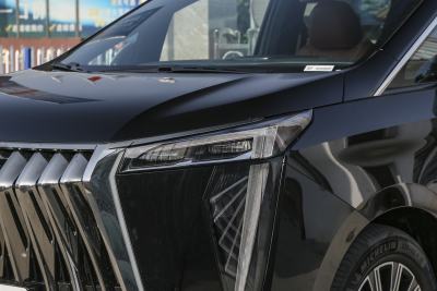 2024款 E9 尊享版-外观-图片-有驾