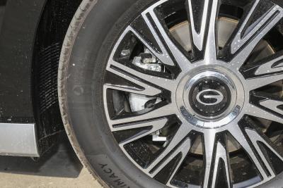 2024款 E9 尊享版-外观-图片-有驾