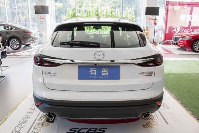 2021款 2.5L 自动四驱蓝天激情版-外观-图片-有驾