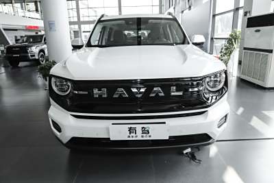 2026款 1.5T 潮趣版-外观-图片-有驾