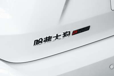 2026款 1.5T 潮趣版-外观-图片-有驾