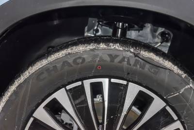 2025款 1.5T 116km 尊贵型 5座-外观-图片-有驾