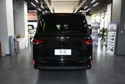 2025款 2.0L 自动长轴旗舰型 7座-外观-图片-有驾