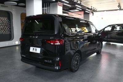 2025款 2.0L 自动长轴旗舰型 7座-外观-图片-有驾