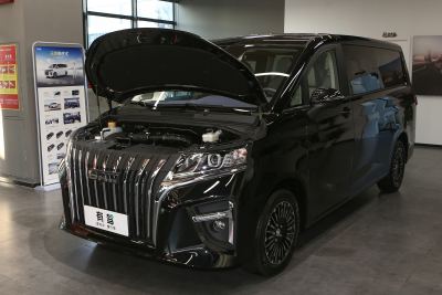 2025款 2.0L 自动长轴旗舰型 7座-外观-图片-有驾