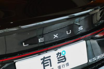 2025款 300h 行政版-外观-图片-有驾