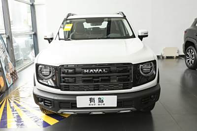 2026款 1.5T DCT拉布拉多版-外观-图片-有驾