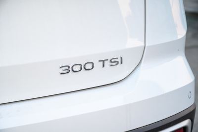 2024款 300TSI 两驱新月版-外观-图片-有驾