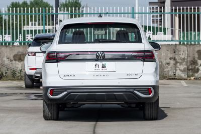 2024款 300TSI 两驱新月版-外观-图片-有驾