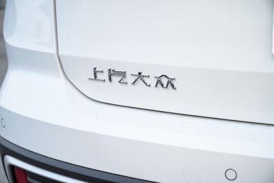 2024款 300TSI 两驱新月版-外观-图片-有驾