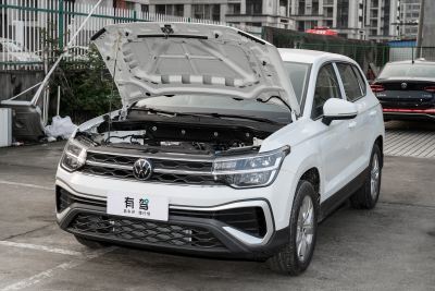 2024款 300TSI 两驱新月版-外观-图片-有驾