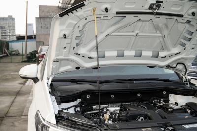 2024款 300TSI 两驱新月版-外观-图片-有驾