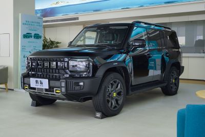 2025款 206km XWD 征服加长版 7座-外观-图片-有驾