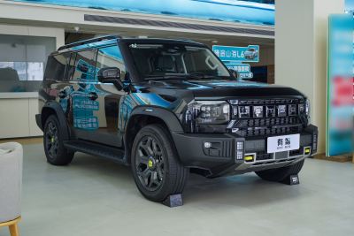 2025款 206km XWD 征服加长版 7座-外观-图片-有驾