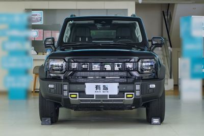2025款 206km XWD 征服加长版 7座-外观-图片-有驾