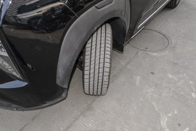 2026款 远行·悠然 2.0T 自动短轴低顶PRO版-外观-图片-有驾