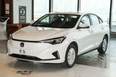 2022款 EV460 智行网约版 磷酸铁锂-外观-图片-有驾