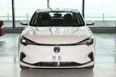 2022款 EV460 智行网约版 磷酸铁锂-外观-图片-有驾