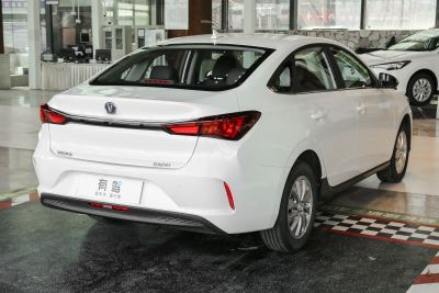 2022款 EV460 智行网约版 磷酸铁锂-外观-图片-有驾