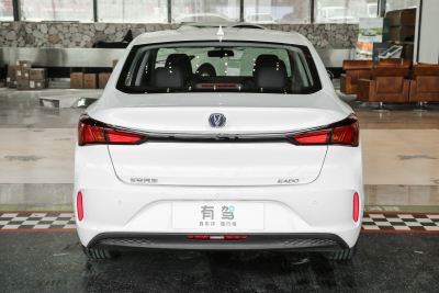 2022款 EV460 智行网约版 磷酸铁锂-外观-图片-有驾