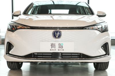 2022款 EV460 智行网约版 磷酸铁锂-外观-图片-有驾