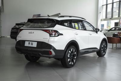 2025款 2.0T 两驱尊贵版-外观-图片-有驾